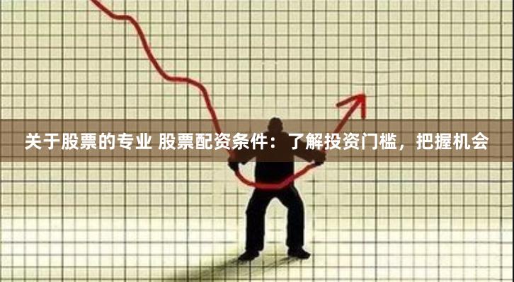关于股票的专业 股票配资条件：了解投资门槛，把握机会